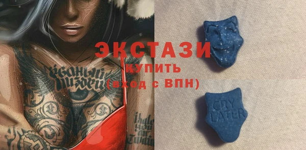 индика Всеволожск