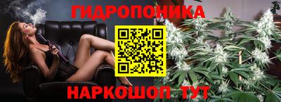 индика Берёзовский