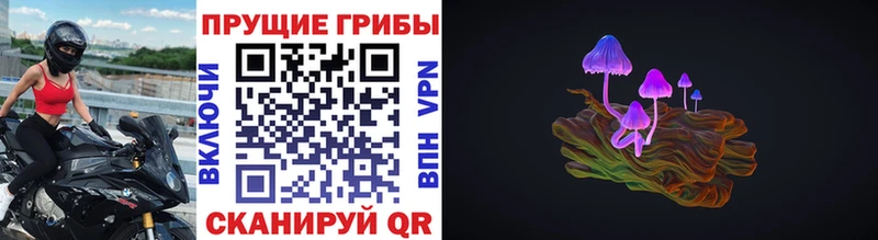 Псилоцибиновые грибы прущие грибы  где найти наркотики  Клинцы 